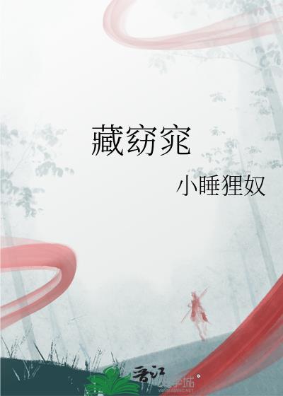 藏窈窕讲的是什么