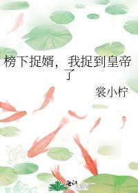 榜下捉婿全本免费读