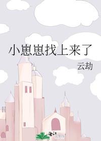 小崽崽找上来了 云劫