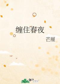 缠住春夜芒厘番外
