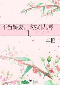 不当娇妻勿扰九零