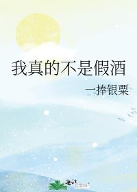 我真的不是假酒歌词