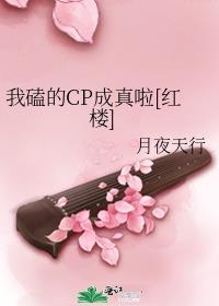 我磕的cp是真的洝九微全文免费阅读