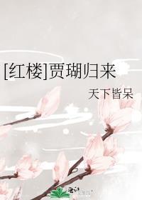 红楼贾瑚归来天下皆呆