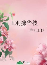 玉羽拂华枝讲的什么