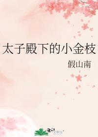 太子殿下的小金枝(假山南)