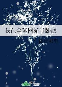 我在全息网游里当总裁