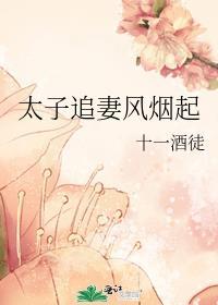 太子追妻风烟起番外免费