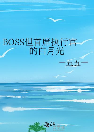 首席boss电视剧