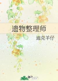 遗物整理师书电子版