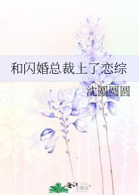 和总裁相亲闪婚