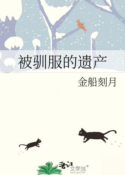 被驯服的遗产和子弹时间