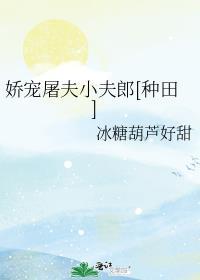 娇宠屠夫小夫郎种田txt