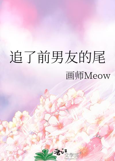 追求前任