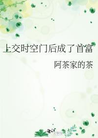 把时空门上交国家后