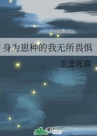 身为玩家的你无所畏惧