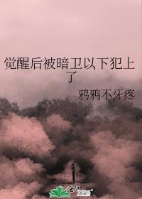 觉醒后暗卫以下犯上笔趣阁