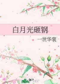 白月光砸钢  笔趣阁