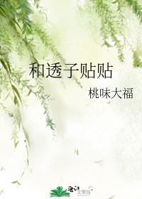 透皮贴的功效