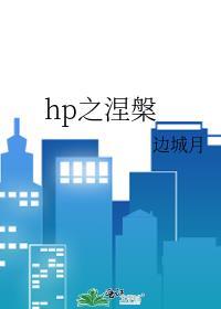 hp涅槃dmss