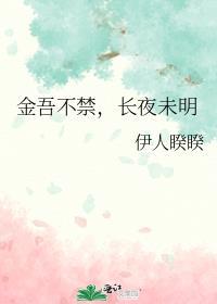 长夜未明免费阅读作者