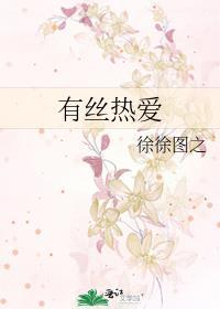 有丝热爱徐徐图之TXT