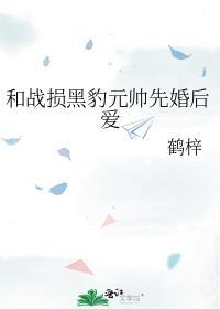 和战损黑豹元帅先婚后爱结局