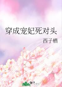 穿成宠妃死对头结局是he吗