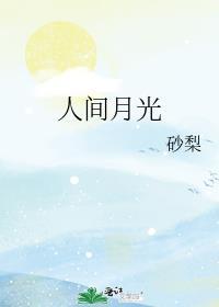 人间月光全文免费阅读