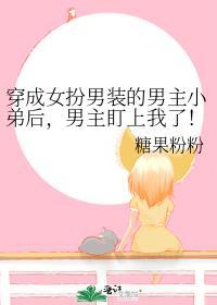 穿成男主的女扮男装的兄弟