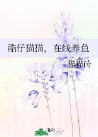 酷猫网络科技有限公司