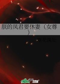 朕的凤君要休妻(女尊)免费阅读