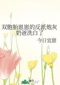 双胞胎崽崽的反派炮灰奶爸洗白了text