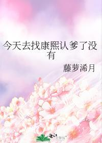 今天去找康熙认爹了没有晋江