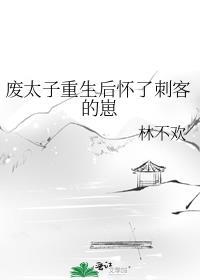 废太子重生后怀了刺客的崽林不欢