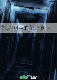 她是f4中的花心萝卜笔趣阁