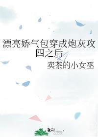 漂亮娇气包穿成炮灰攻四之后全文免费阅读
