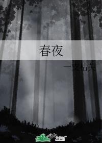 春夜喜雨诗意