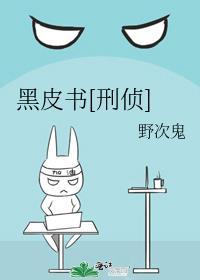 黑皮书简介