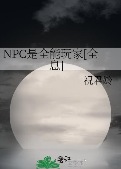 npc全称