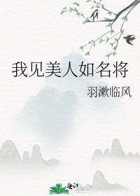 我见美人如名将txt