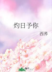 灼日予你免费全文阅读