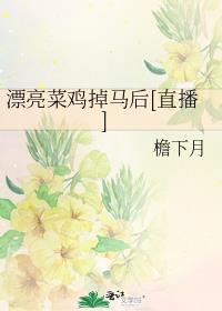 漂亮菜鸡掉马后免费阅读