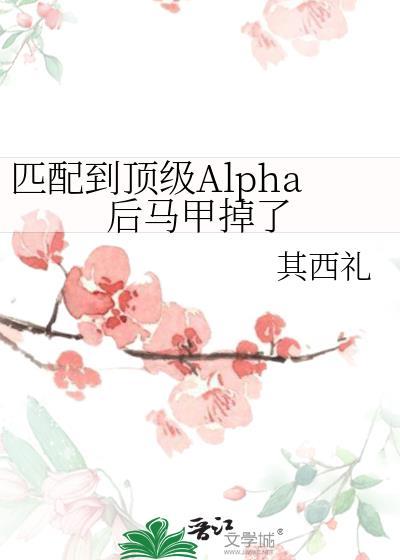 揽月映同尘讲什么
