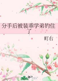 被分手后我绑了