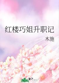 红楼巧姐升职记 木施