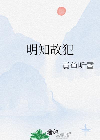明知故犯许美静