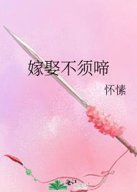 嫁娶不须啼免费阅读