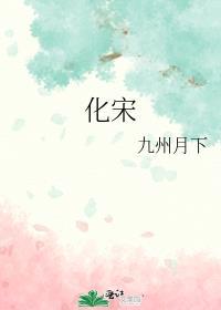 化宋笔趣阁