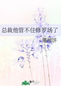 总裁他不对劲
